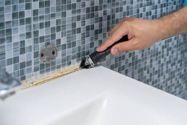 Best Emergency Mold Removal  in Pleasant Gap, PA