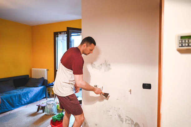 Best Fast Mold Removal  in Pleasant Gap, PA